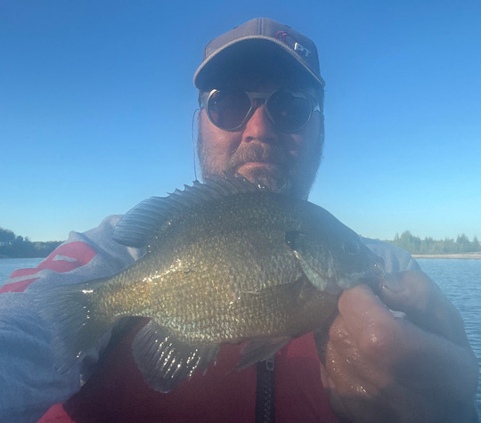 Sunfish