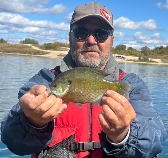Sunfish
