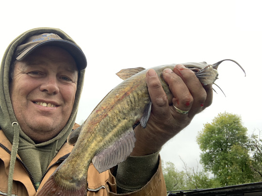 Bullhead