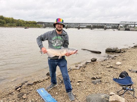 Channel Catfish