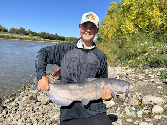 Channel Catfish