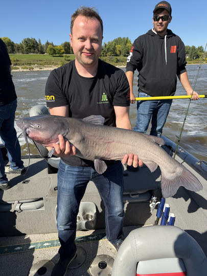 Channel Catfish