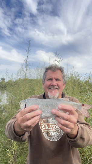 Goldeye
