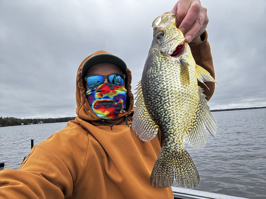 Black Crappie