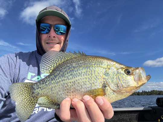 Black Crappie