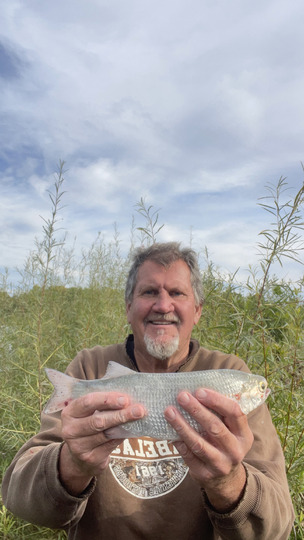 Goldeye
