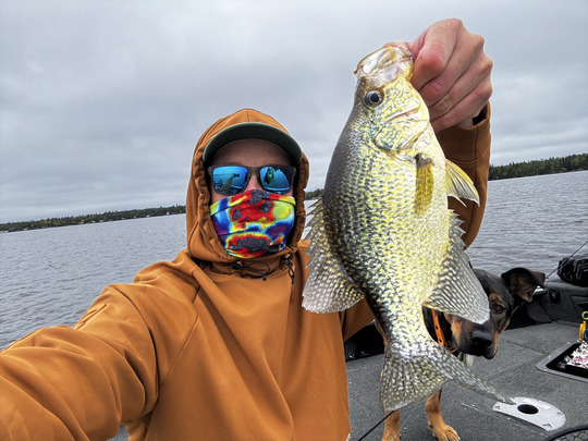 Black Crappie