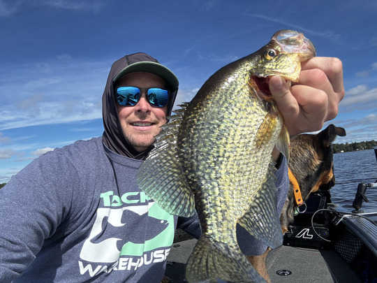 Black Crappie