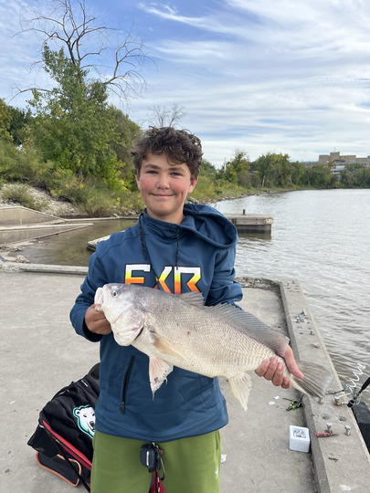 Freshwater Drum