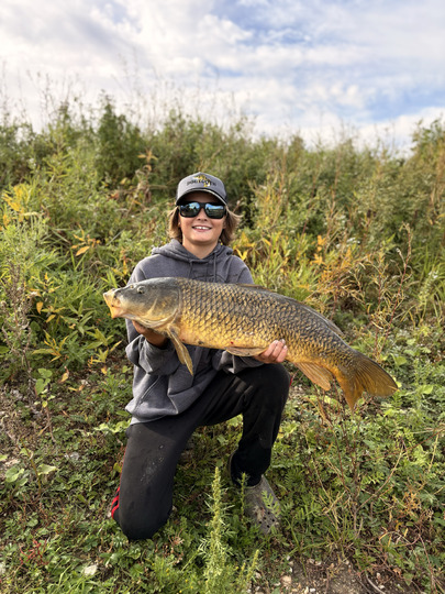 Common Carp