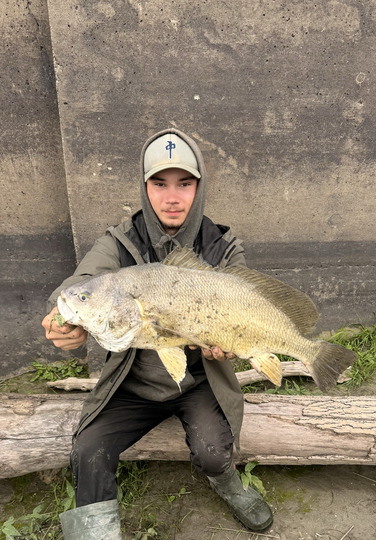 Freshwater Drum