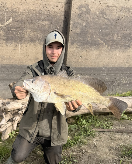 Freshwater Drum