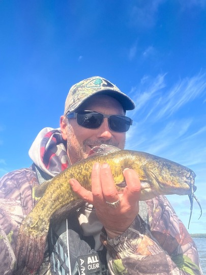 Bullhead