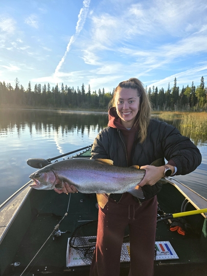 Rainbow Trout