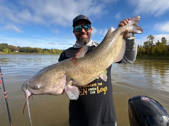 Channel Catfish