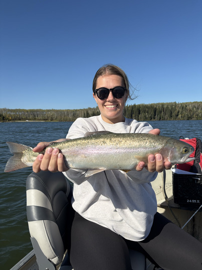 Rainbow Trout
