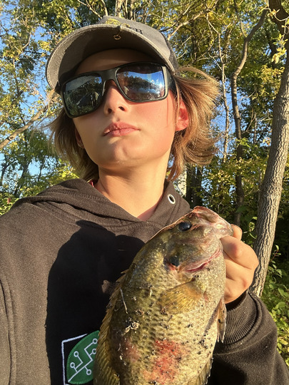 Rock Bass