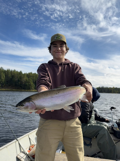 Rainbow Trout