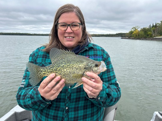Black Crappie