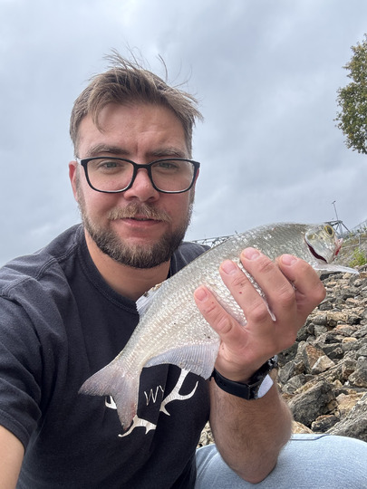 Goldeye