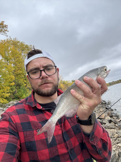 Goldeye