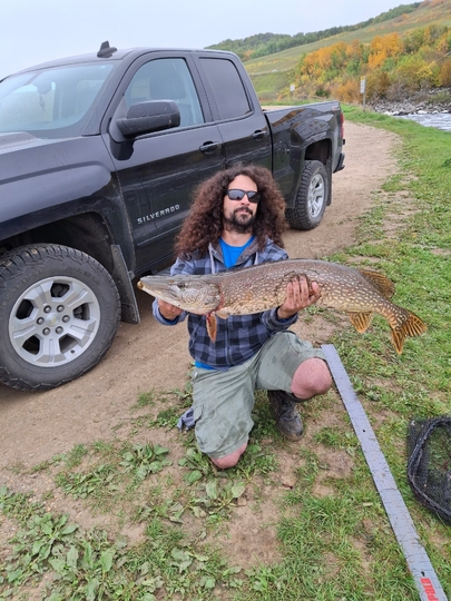 Northern Pike