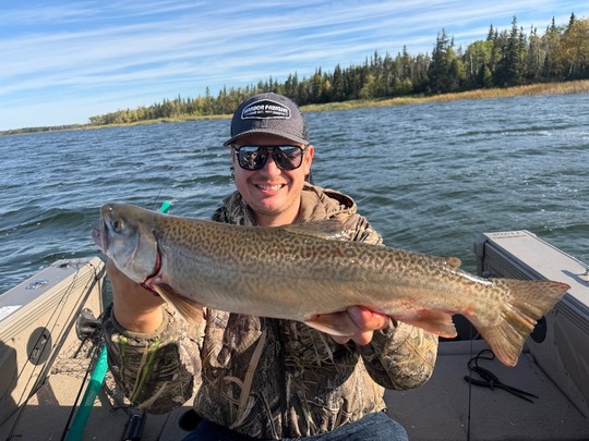 Tiger Trout