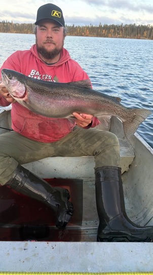 Rainbow Trout