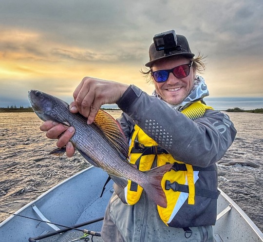 Arctic Grayling