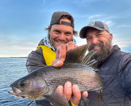 Arctic Grayling