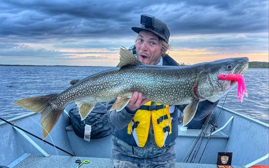 Lake Trout