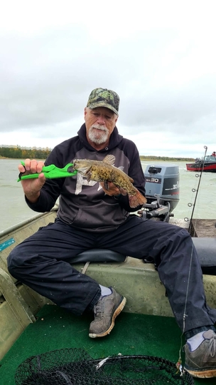 Bullhead