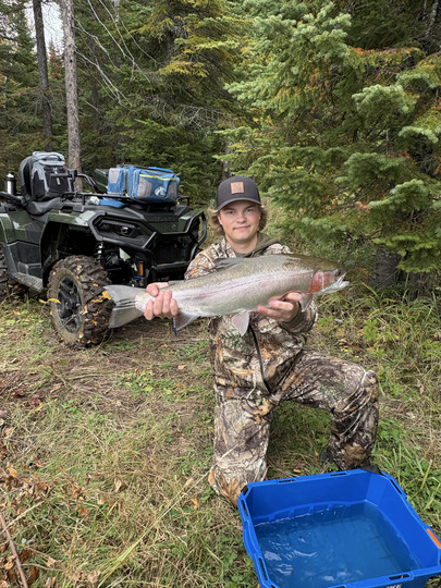 Rainbow Trout