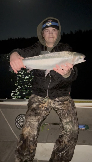 Rainbow Trout