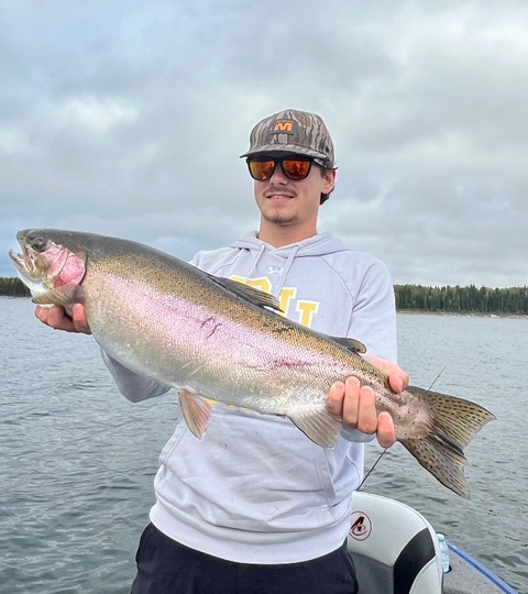 Rainbow Trout