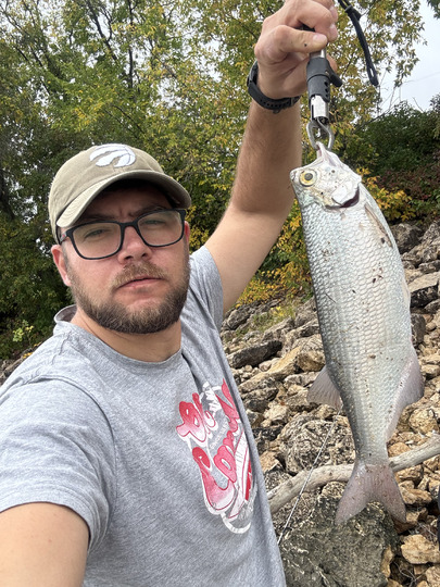 Goldeye