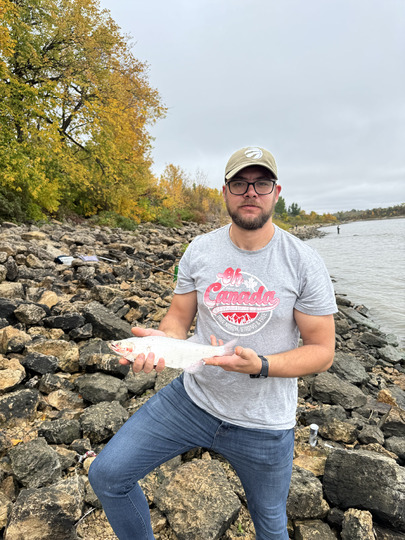 Goldeye