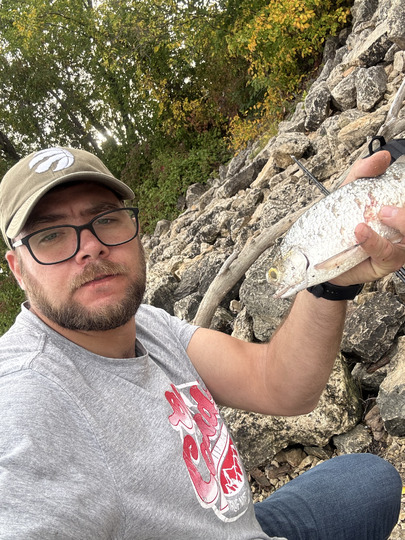 Goldeye