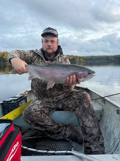 Rainbow Trout