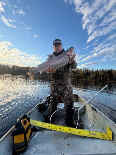 Rainbow Trout