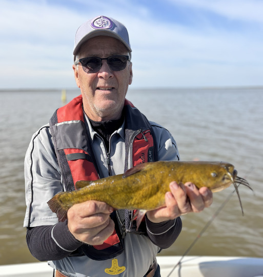 Bullhead