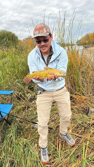 Bullhead