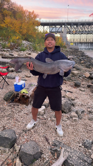 Channel Catfish