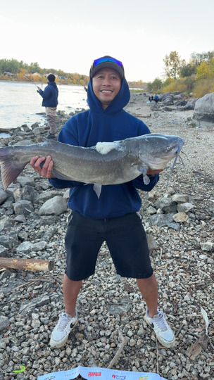 Channel Catfish