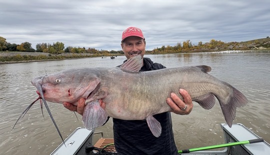 Channel Catfish
