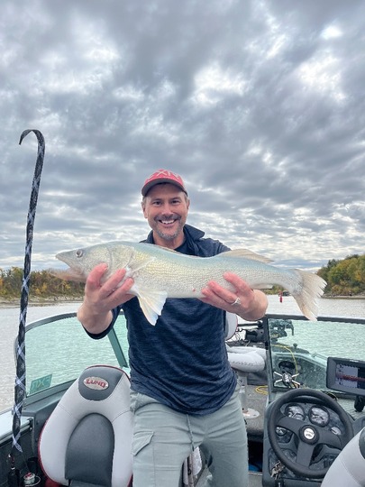 Walleye