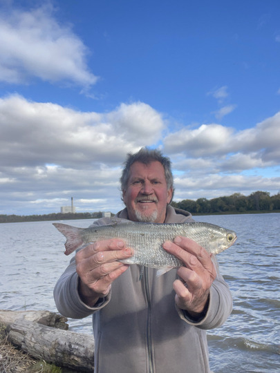 Goldeye