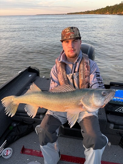 Walleye
