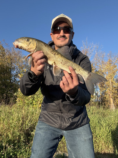 Sucker
