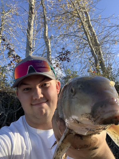 Sucker
